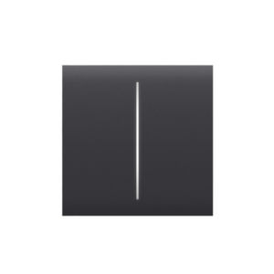 Center Button (2-Gang) Graphite Button AJAX